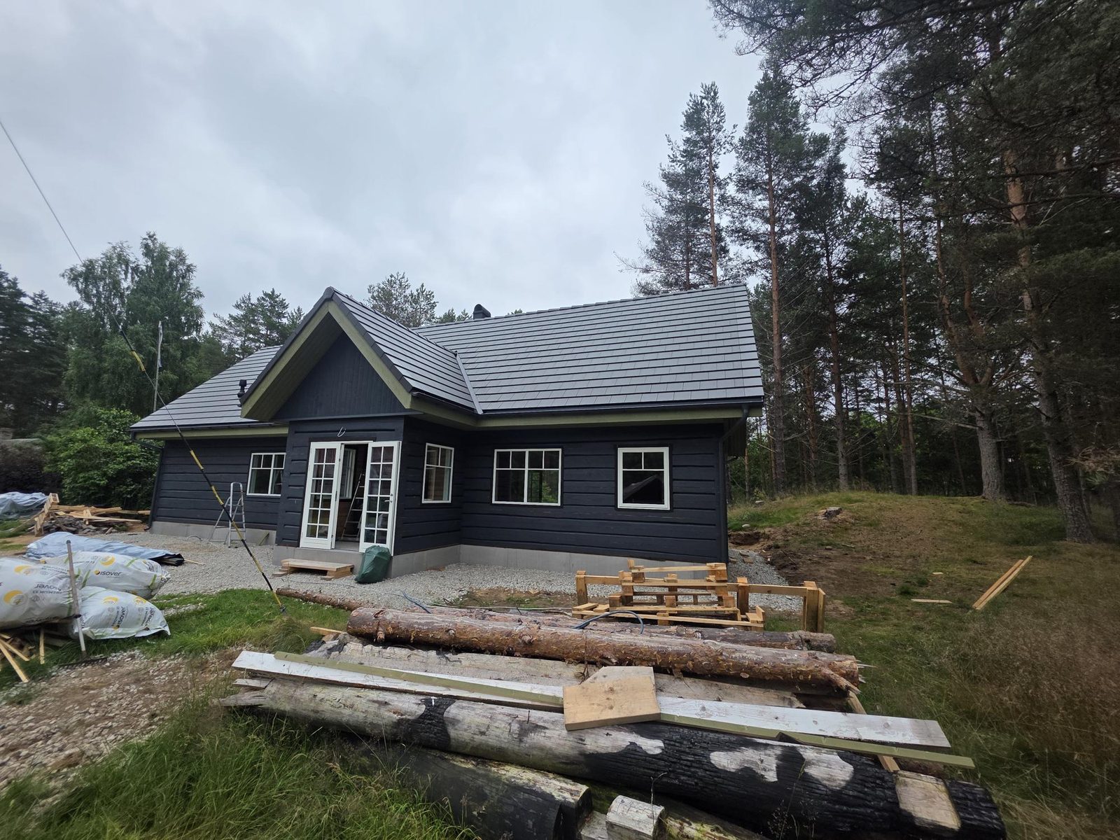 Triimoni katusetööd